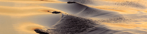 Sunlight reflected on water