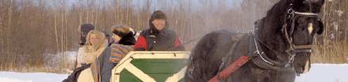 Horse-drawn sleigh ride