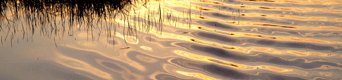 Réflexions du soleil sur l’eau