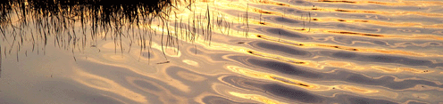 Réflexions du soleil sur l’eau